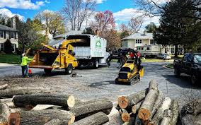 Best Firewood Processing and Delivery  in Thomson, GA